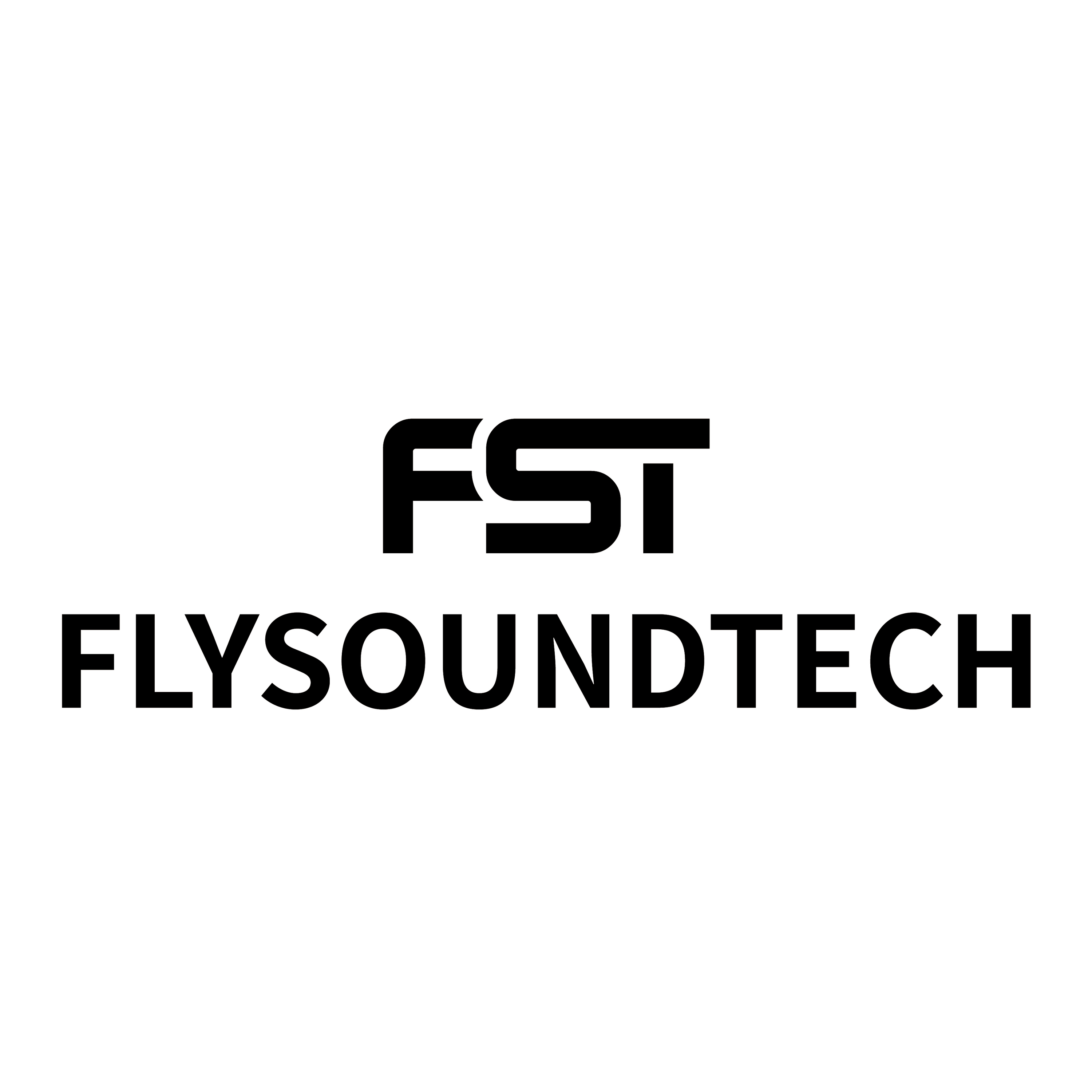 Shenzhen Flysound Technology Limited