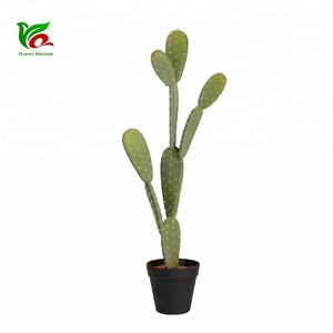 Planta de <span class=keywords><strong>Cactus</strong></span> Artificial de 66 cm con Aspecto Natural para Decoración de Tiendas - Product Image 2