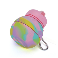 Grande bouteille d'eau en silicone anti-fuite avec bec rabattable pour enfants, style mignon avec matériaux Tritan PC, accessoire de camping réutilisable