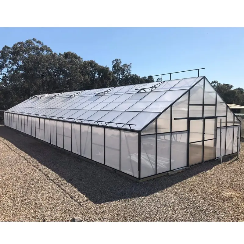 China wholesale 4 seasons single-span commercial agriculture greenhouses