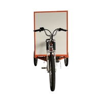 Triciclo Eléctrico de Carga de Tres Ruedas para Turismo Urbano, Fabricantes Chinos, Bicicleta de Transporte de Mercancías con Caja Grande