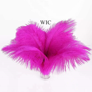 30-35 centimetri Decorazione Sintetici <span class=keywords><strong>Piume</strong></span> di Struzzo per la Cerimonia Nuziale Bouquet - Product Image 4