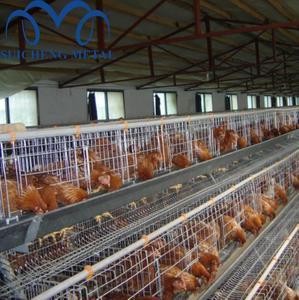 Cage <span class=keywords><strong>à</strong></span> poussins de type H de Guangzhou, petite cage <span class=keywords><strong>à</strong></span> poulets, cage pour 300 poulets - Product Image 4