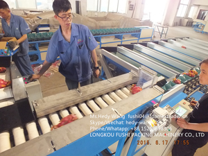 ราคาถูกและมีประสิทธิภาพสูงมะม่วงเกรด, มะม่วงsizer - Product Image 3