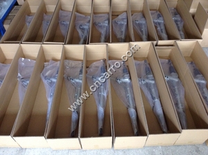 9005916 ชุดพวงมาลัยเชฟโรเลต เซล ระบบพวงมาลัยอัตโนมัติ - Product Image 4