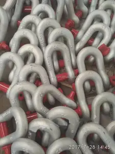 Stainless Steel Us Type Dee Shackle