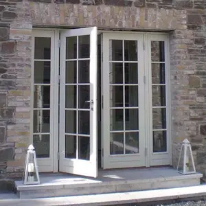 Australian Standard Double Leaf Exterior PVC Commercial Glass Entry Door,Glass Door For Commercial