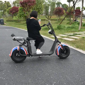 2018 New WUYI XT MOTORS 1000W 1200W 1500W 2000W City Coco Electric Bicycle Electric Scooter