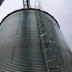 Silo de Almacenamiento de Grano con Estructura de Acero de 1000t, <span class=keywords><strong>Precio</strong></span> de Fábrica - Product Image 6