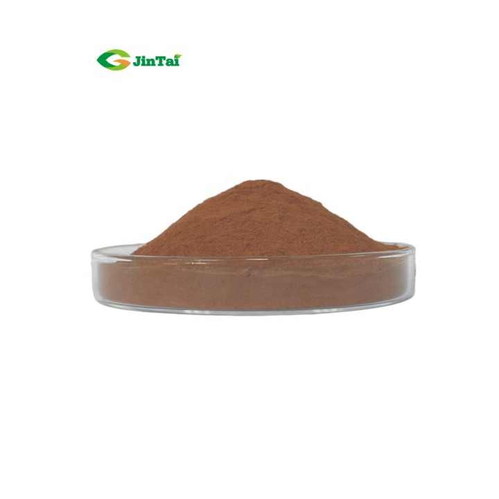 OEM/ODM Best Price 12 in 1 Mushroom Mixed Powder Organic 6 Mushrooms Blend Extract Mushroom Tea for Sale