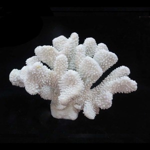 Artificielle Aquarium décoratif <span class=keywords><strong>blanc</strong></span> résine coraux - Product Image 3