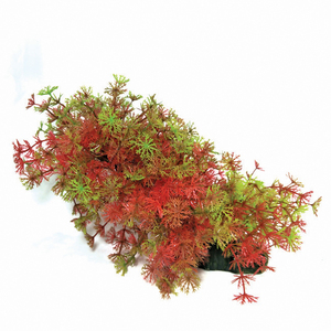 Verschillende Types Kunstmatige Aquarium Plastic Planten