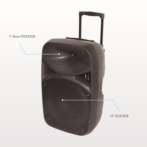 15 pollici professionale powered sistema di altoparlanti amplificati con <span class=keywords><strong>bluetooth</strong></span> - Product Image 2