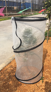 Pop-Up Tomaat <span class=keywords><strong>Plant</strong></span> Protector Dient Als Een <span class=keywords><strong>Mini</strong></span> Tuin Kas Groei Te Versnellen, pop Up Tuin Tas Groeien Zakken 10 Stuks, Etc. - Product Image 3