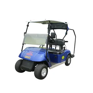 Lipat listrik mini 2 seater golf cart dengan caddy kecil berdiri
