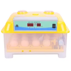 2019 Best seller egg incubator hatchery machine for chicken hatching WQ-24 with ce certification