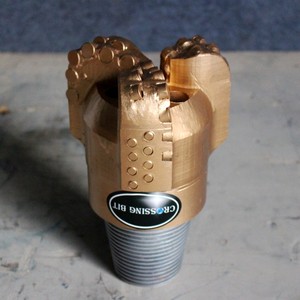 Trung Quốc Nhà Máy Kim Cương Balde PDC Bit Với Hàng Đôi Của Răng Giá - Product Image 2