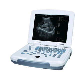 DAWEI ordinateur portable animaux hôpital test de <span class=keywords><strong>grossesse</strong></span> vétérinaire échographie DW-VET3 - Product Image 1