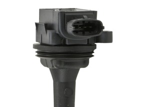 "Cultors" - Product Image 2