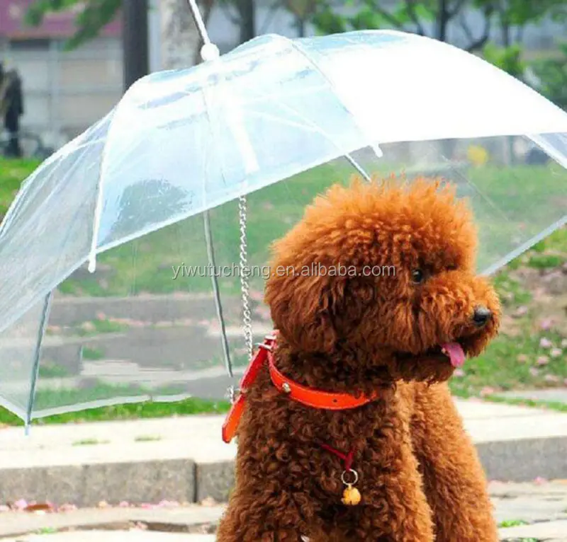Wholesale Transparent PE Pet Umbrella Small Dog Umbrella Rain Gear with Dog Leads Keeps Pet Dry Comfortable in Rain custom logo