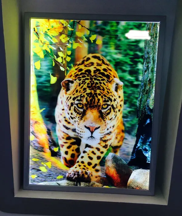 3d depth effect animal poster from World Class 3D Lenticular Printing Products