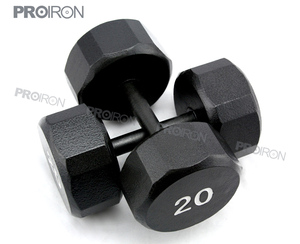 20lb panited dumbbell Gymnastics - Product Image 1