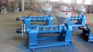 เครื่องกดน้ำมันจากเมล็ดอะมารันธ์ โซจิ น้ำมันจมูกข้าวสาลี น้ำมันวอลนัทแบบสกัดเย็น - Product Image 4