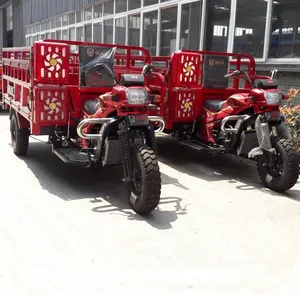 <span class=keywords><strong>150</strong></span>/200/250cc moto a <span class=keywords><strong>3</strong></span> ruote, motorizzato Tipo di Guida e Cargo Uso camion triciclo - Product Image 1