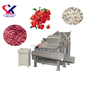 Máquina Industrial de procesamiento de jugo de Litchi a gran escala, pelador de lichi y máquina exprimidora/máquina peladora y picadora de lichi
