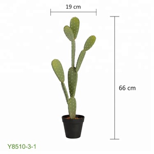 ความรู้สึกนุ่ม EPE 66เซนติเมตรพืชแคคตัสปลอมสำหรับการตกแต่งร้านค้า - Product Image 1