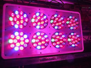 מכירות קידום <span class=keywords><strong>Led</strong></span> לגדול אור 300w, חיצוני אפולו <span class=keywords><strong>8</strong></span> חממה <span class=keywords><strong>LED</strong></span> לגדול אורות - Product Image 5