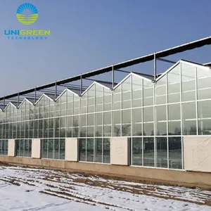 Invernadero de vidrio Venlo, el precio más competitivo y fácil de instalar