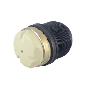 Resorte de suspensión neumática trasera para bolsas de aire A6C6 Airmatic Strut 4F0616001 4F0616001J - Product Image 3