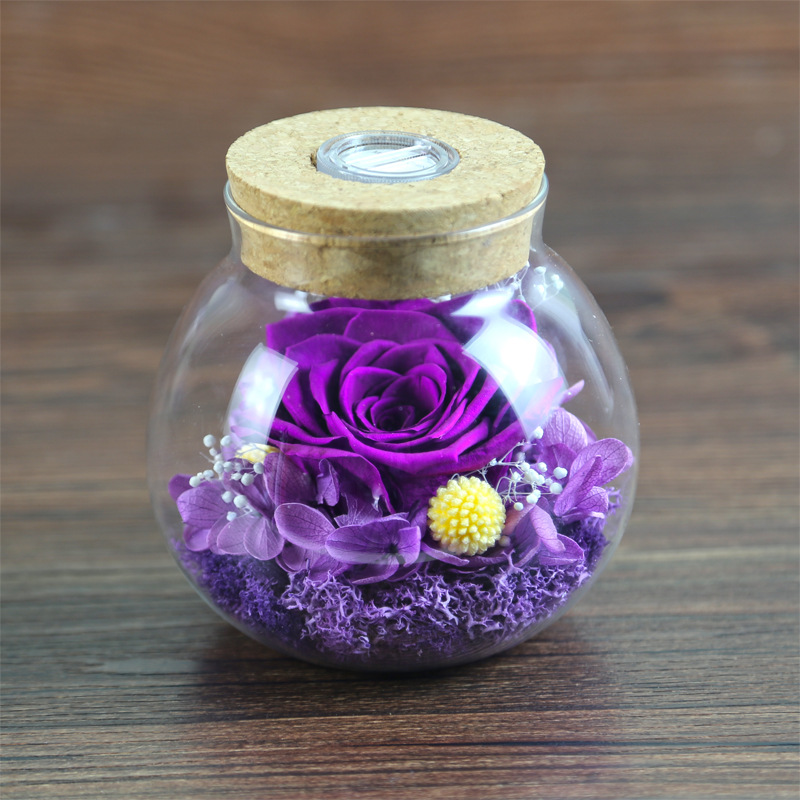 Viola 1