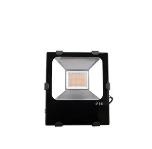 2200K 50W 100W IP65 naranja de luz de inundación LED