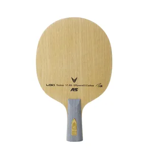 Изготовленным на заказ логосом 5 слоев дерева профессионального обучения Теннисный стол для настольного тенниса