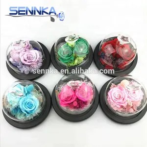 Fresh Cut Preserved Beautiful Rose Flower Wholesale In Mini Glass