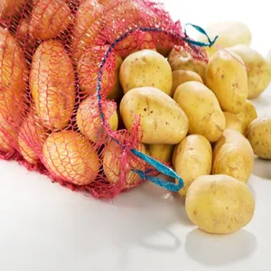 EGP piccola verdura fresca borsa in rete Leno riciclabile in plastica con impugnatura a tracolla stampa Offset per agricoltura alimentare