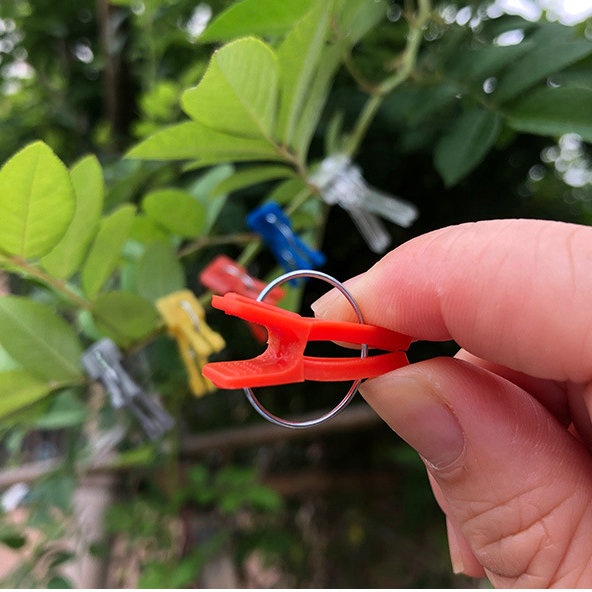 Новый пластиковый пружинный зажим для арбуза в теплице