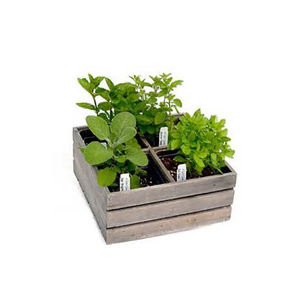 Stile minimalista in legno succulenta vaso fioriera griglie miste per erbe letto cassa di stoccaggio interno/esterno per bambini casa uso pavimento - Product Image 6