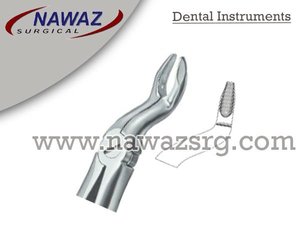 Pince à extraire les dents Fig67 N Meilleure qualité Logo personnalisé Produits Instruments dentaires en acier inoxydable - Product Image 2