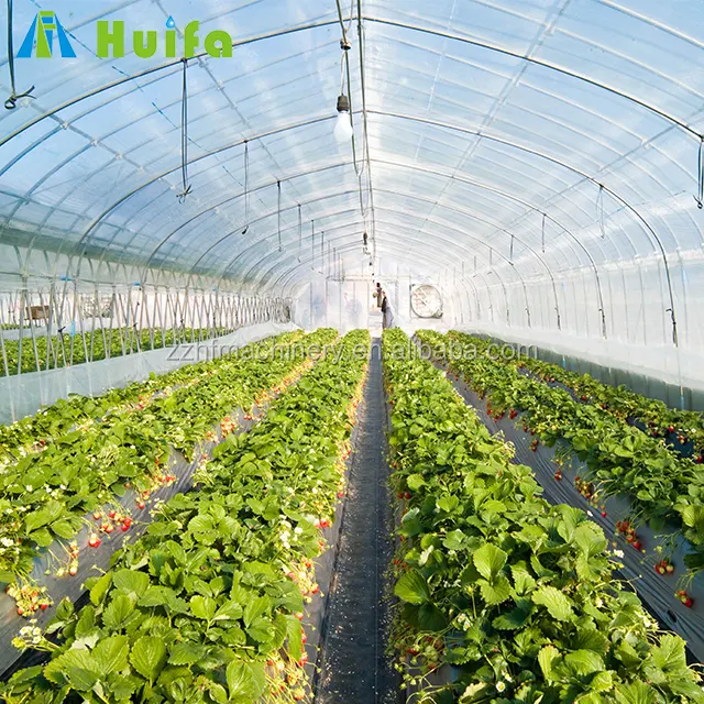 Huifa economical plastic green house hoop tunnel for agricture