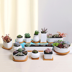 Planteur <span class=keywords><strong>blanc</strong></span> en céramique pour décoration de jardin, Pot de <span class=keywords><strong>fleurs</strong></span> plantes avec Cactus en céramique, avec plateau en bambou (<span class=keywords><strong>rectangulaire</strong></span>), offre spéciale - Product Image 5