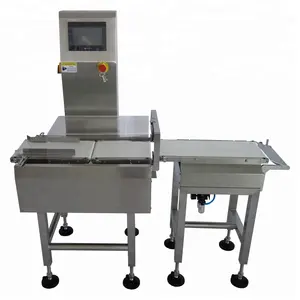 Check Weight Machine Dynamic Electronic Rs232 Weighing Scale Online Belt Conveyoe Weigher Check Weight Machine