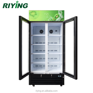 Réfrigérateur vitrine commercial à deux portes vitrées de 488 litres pour boissons - Product Image 2