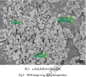 세라믹스를 위한 높은 순수성 99.9% 알파 반토 Nanoparticles <span class=keywords><strong>Nano</strong></span> 알루미늄 산화물 분말 Al2O3 Nanopowder - Product Image 3