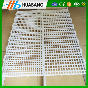 Huabang serisi kümes hayvanları plastik çıtalı zemin fiyat broiler tavuk çiftlik ekipmanları - Product Image 2