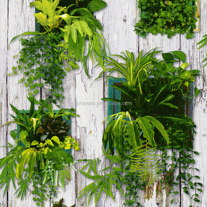 <span class=keywords><strong>Papier</strong></span> <span class=keywords><strong>peint</strong></span> décoratif en PVC <span class=keywords><strong>à</strong></span> motif de plantes vertes, pur et frais, <span class=keywords><strong>pour</strong></span> balcon et <span class=keywords><strong>salle</strong></span> <span class=keywords><strong>à</strong></span> <span class=keywords><strong>manger</strong></span> - Product Image 2