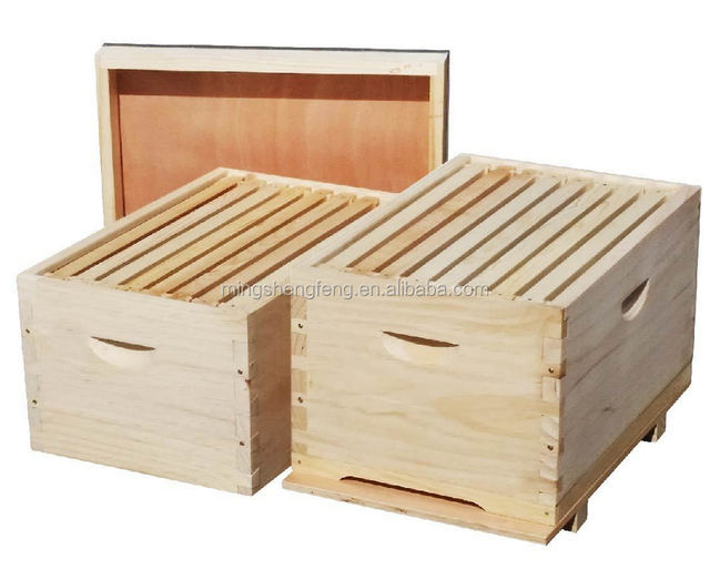 Australia Langstroth Beehive Bee Box 8F 10F