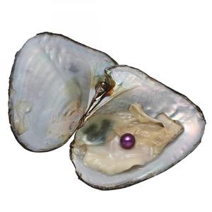 <span class=keywords><strong>Perlas</strong></span> <span class=keywords><strong>de</strong></span> Agua Dulce <span class=keywords><strong>de</strong></span> 7-8 mm al por Mayor, <span class=keywords><strong>Perlas</strong></span> Redondas envasadas al Vacío, <span class=keywords><strong>Ostras</strong></span> <span class=keywords><strong>de</strong></span> Perla <span class=keywords><strong>de</strong></span> Agua Dulce - Product Image 2